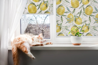 Store intérieur Citrons