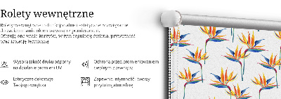 Store intérieur Feuilles colorées