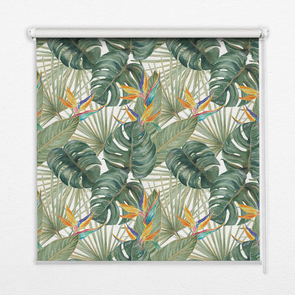 Store intérieur Plantes tropicales