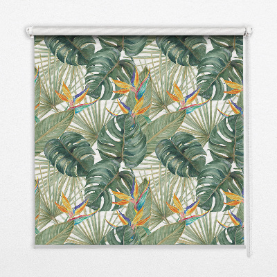 Store intérieur Plantes tropicales