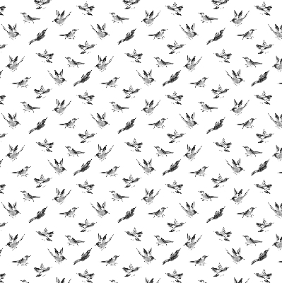 Store intérieur Oiseaux