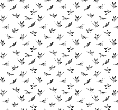 Store intérieur Oiseaux