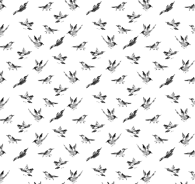 Store intérieur Oiseaux