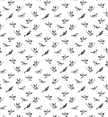 Store intérieur Oiseaux