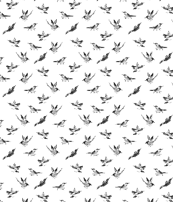 Store intérieur Oiseaux