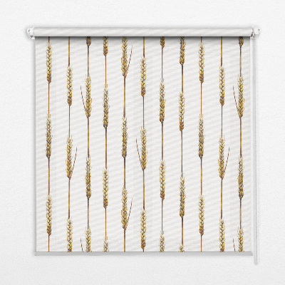 Store intérieur Céréale