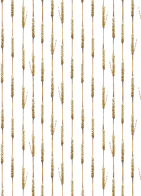 Store intérieur Céréale