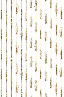 Store intérieur Céréale