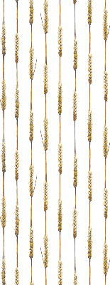 Store intérieur Céréale