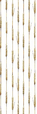 Store intérieur Céréale