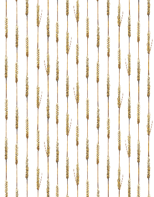 Store intérieur Céréale