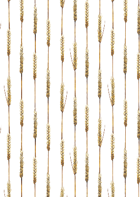 Store intérieur Céréale