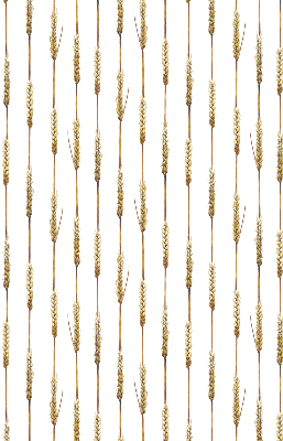 Store intérieur Céréale