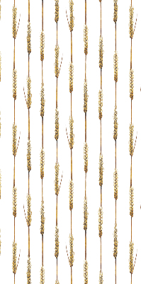 Store intérieur Céréale