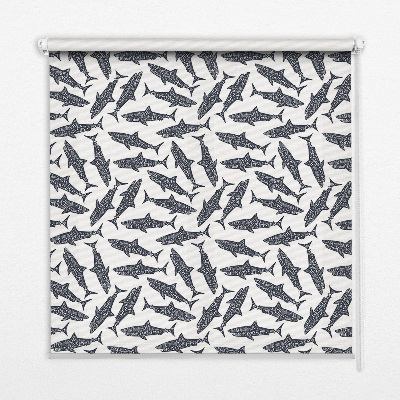 Store intérieur Requins