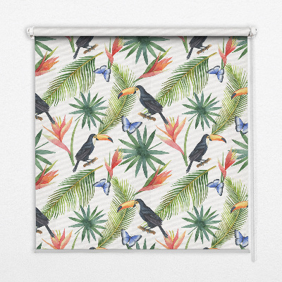 Store enrouleur Toucans sur des fleurs