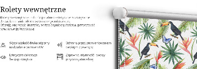 Store enrouleur Toucans sur des fleurs