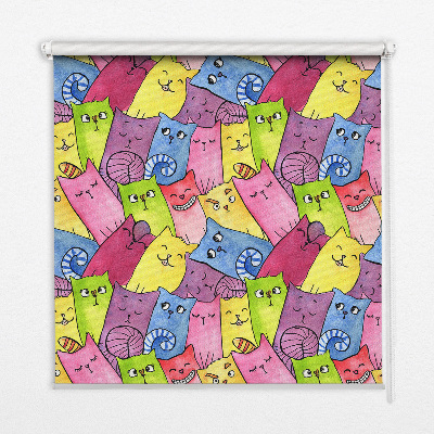 Store intérieur Chats colorés