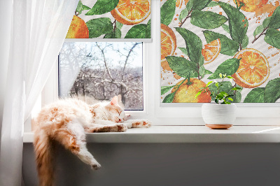 Store enrouleur Oranges et feuilles