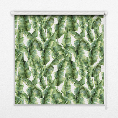 Store intérieur Feuilles