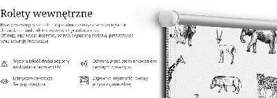 Store enrouleur Animaux