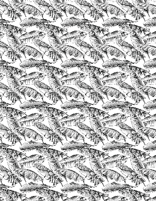 Store intérieur Feuilles de fougère