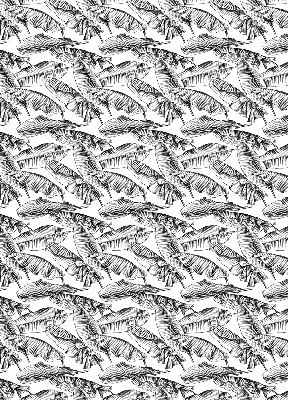 Store intérieur Feuilles de fougère