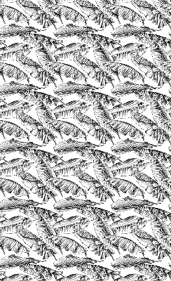 Store intérieur Feuilles de fougère