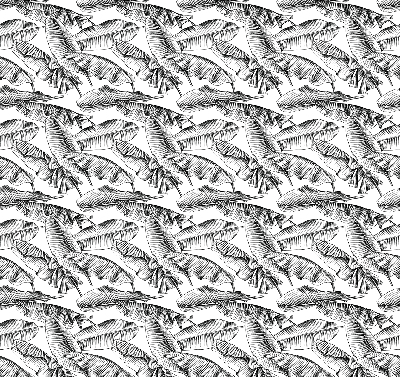 Store intérieur Feuilles de fougère