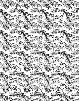 Store intérieur Feuilles de fougère