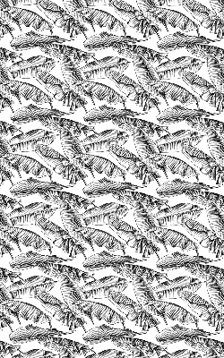 Store intérieur Feuilles de fougère