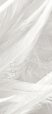 Store intérieur Plumes