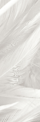 Store intérieur Plumes