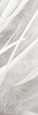 Store intérieur Plumes