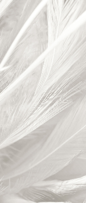 Store intérieur Plumes