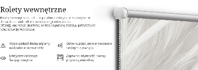 Store intérieur Plumes