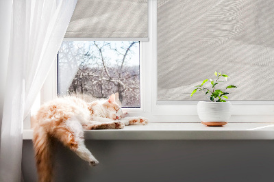 Store intérieur Plumes