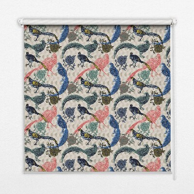 Store intérieur Paons colorés