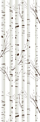 Store intérieur Bouleaux