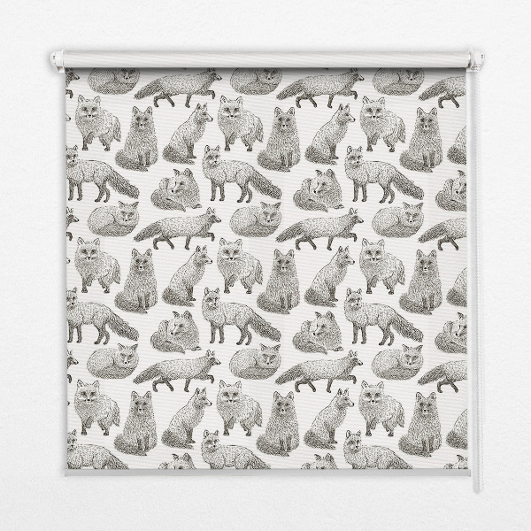 Store intérieur Renards gris