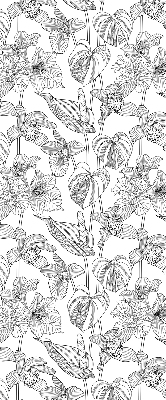 Store intérieur Fleurs esquissées