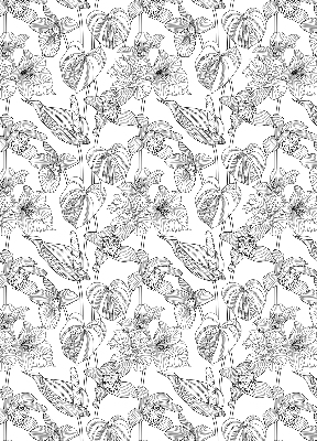 Store intérieur Fleurs esquissées