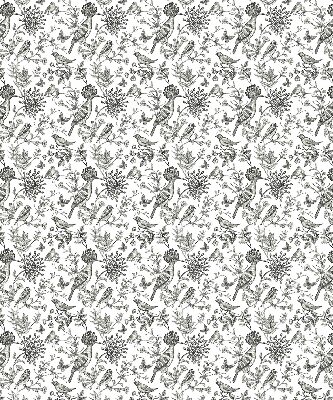 Store intérieur Oiseaux et plantes dessinés