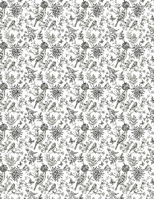 Store intérieur Oiseaux et plantes dessinés