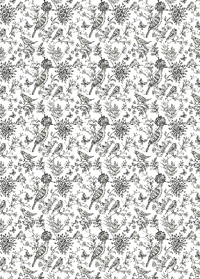 Store intérieur Oiseaux et plantes dessinés