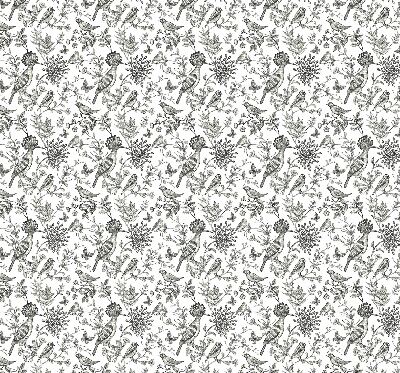 Store intérieur Oiseaux et plantes dessinés