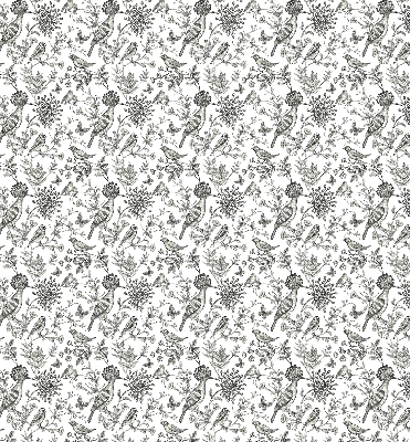 Store intérieur Oiseaux et plantes dessinés