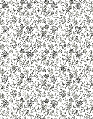 Store intérieur Oiseaux et plantes dessinés