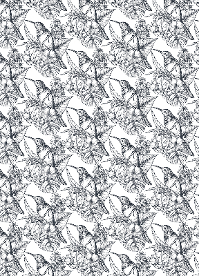 Store enrouleur Fleurs dessinées