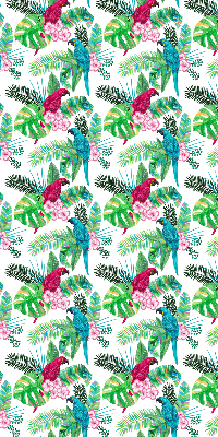 Store intérieur Perroquets